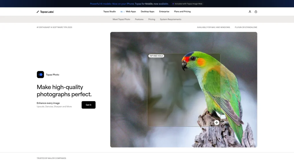 Topaz Photo AI page showing a sharpened photo of a parrot
