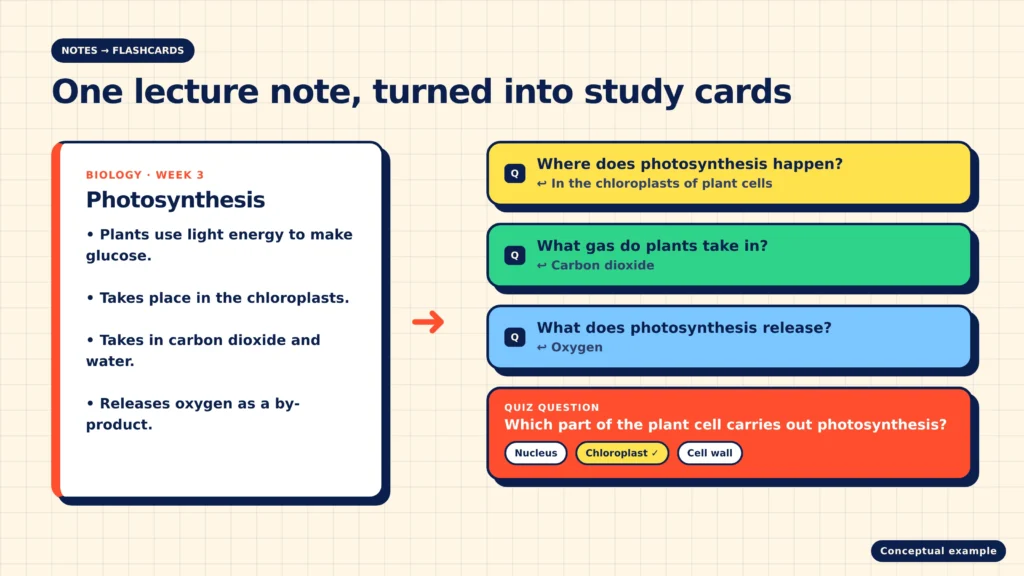 Example of a biology lecture note on photosynthesis turned into three flashcards and a multiple-choice quiz question